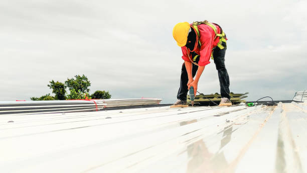 Best Metal Roofing Installation  in Courtland, VA