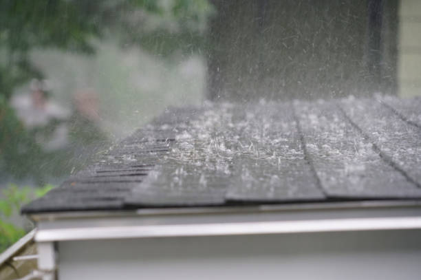 Best Asphalt Shingle Roofing  in Courtland, VA