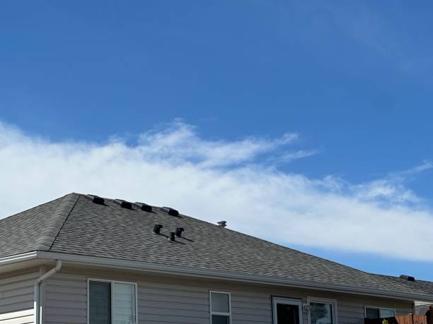 Reliable Courtland, VA Roofing Services Solutions